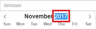 Manual birth year entry