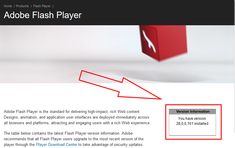 Flash player box showing the current version
