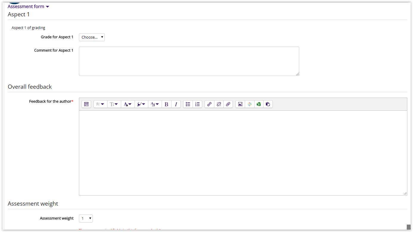 assessment form of a workshop submission