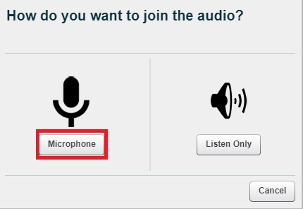 Audio options window