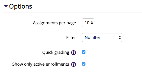 Assignment Options section