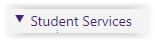 student services tab in mylsu
