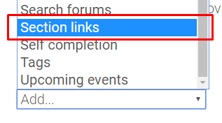 section links block option
