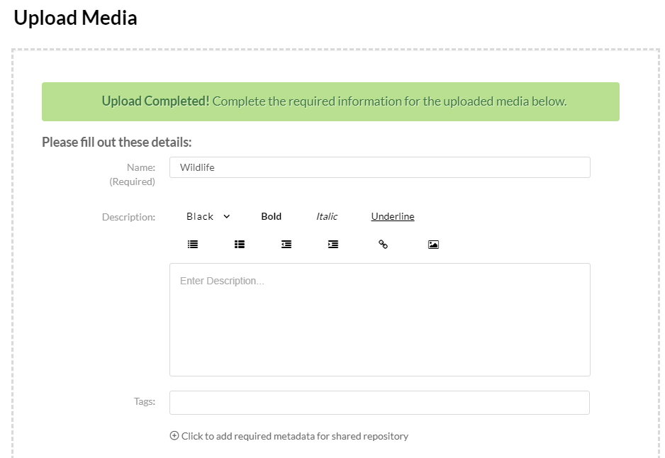 Uploaded media video details