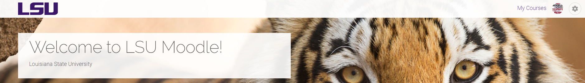 Snap theme overview top