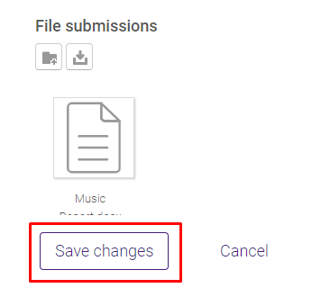 File in File Submission window with save changes button
