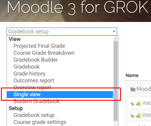 Single view in drop down menu