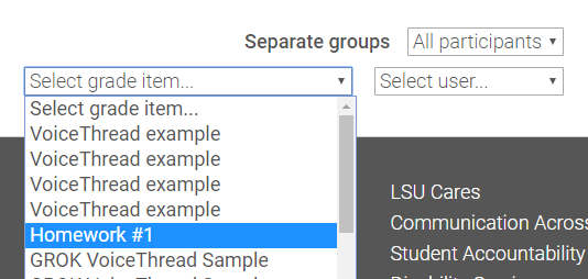 Select grade item drop down with selected example assignment