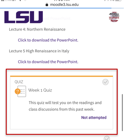 Quiz activity
