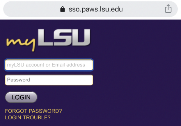 mylsu username and password boxes