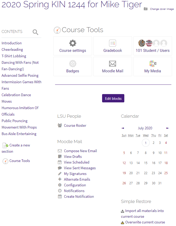 Sample Course Tools Instructor page