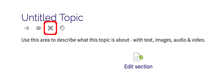 delete icon depicted as an X just below the section name