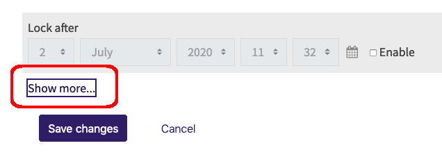 Show more link depicted directly above the Save Changes button at the bottom of the screen