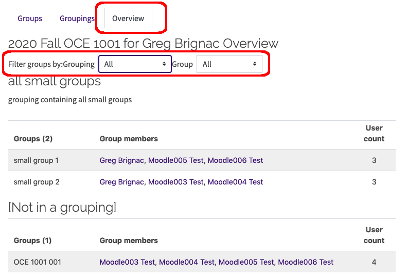 Groups and Groupings Overview tab with filters highlighted