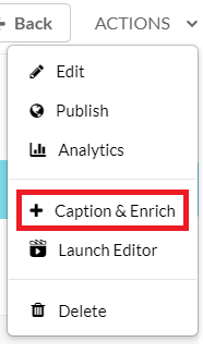 caption and enrich selection in actions menu
