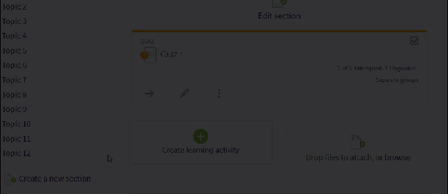 Gif of how to find review options in quiz edit mode