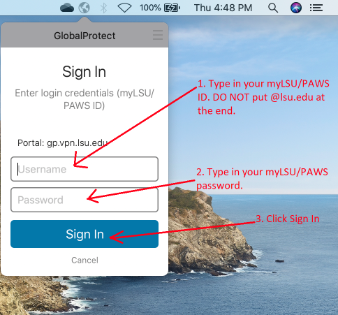 Log in credentials and sign in button