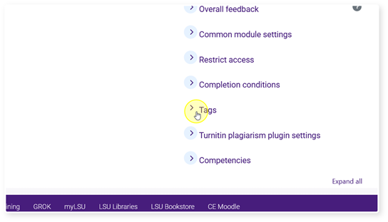 "Tags" section in Activity settings