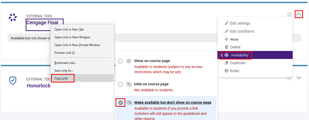 Platform LTI link and availability setting